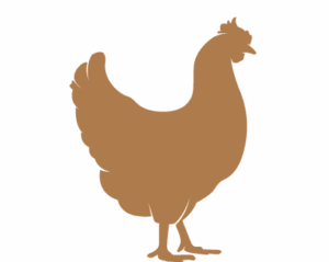 True Kansas City BBQ deliciousness and the spirit of the Jayhawks! The flavors are amazing and will always leave you satisfied. The variety of spices and flavors will also fit any gathering.
Scott N.Rochester, MN