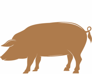 I never liked pork belly before but I ate two plates!
Allison, Lawrence, KS